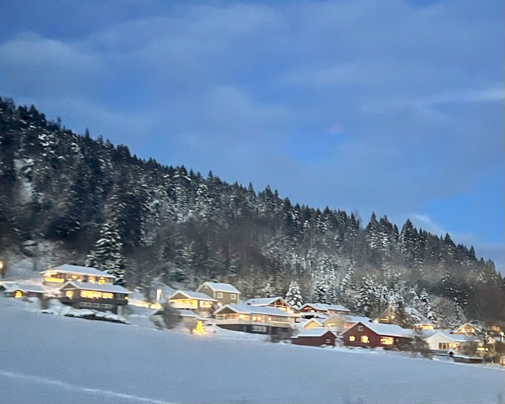 Weihnachtsdorf- nicht aus dem Baumarkt😍