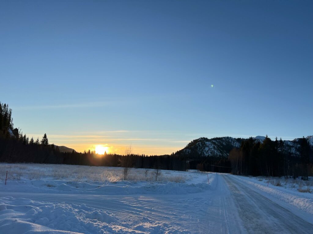 Reise im Schnee 2